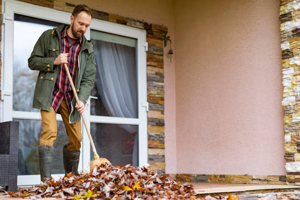 Yard Cleanup Services in Webster, TX